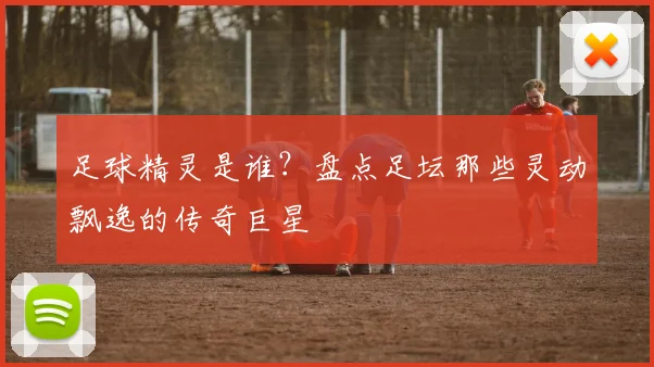 足球精灵是谁？盘点足坛那些灵动飘逸的传奇巨星