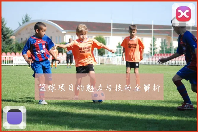 篮球项目的魅力与技巧全解析