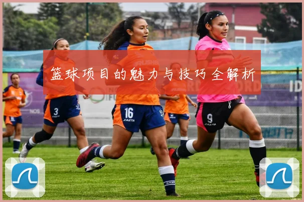 篮球项目的魅力与技巧全解析