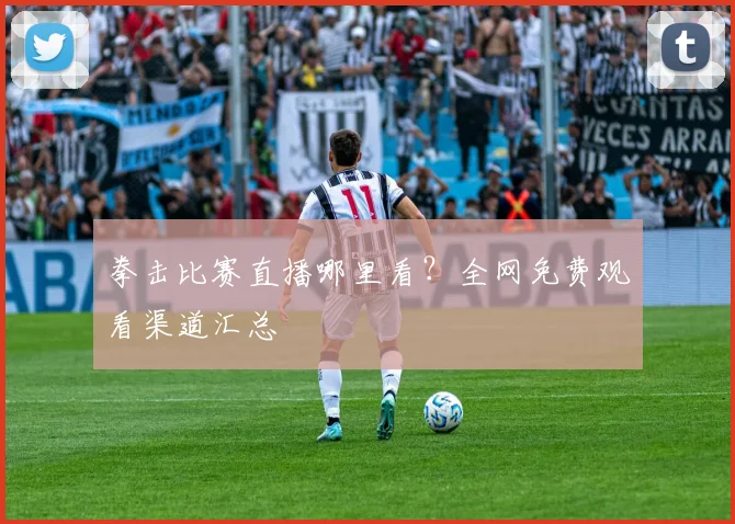 拳击比赛直播哪里看？全网免费观看渠道汇总